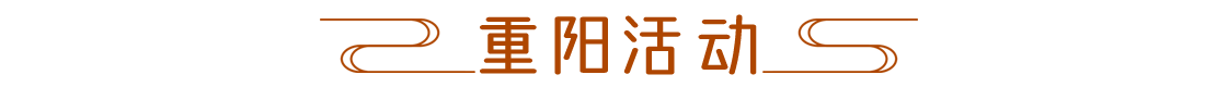 活动